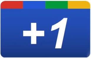 Google +1