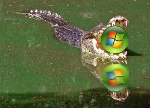 Chromebook omarmd door Amerikaanse stad