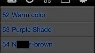 Apple app maakt ‘nigger brown’
