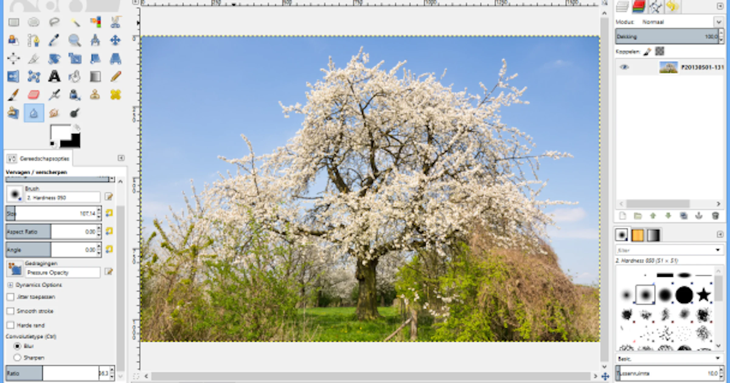 Zo bewerk je al je foto's met gratis software