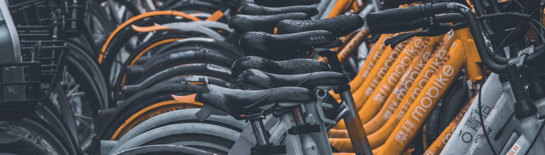 Media has no description