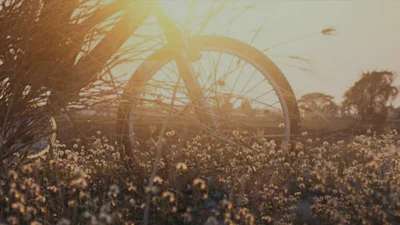Wat zijn de mooiste fietsroutes en tussenstops?