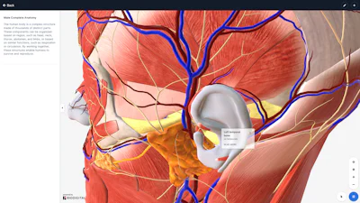 BioDigital Human - Menselijke anatomie verkennen