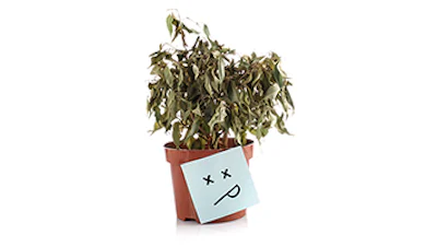 Droogte-alarm voor kamerplanten