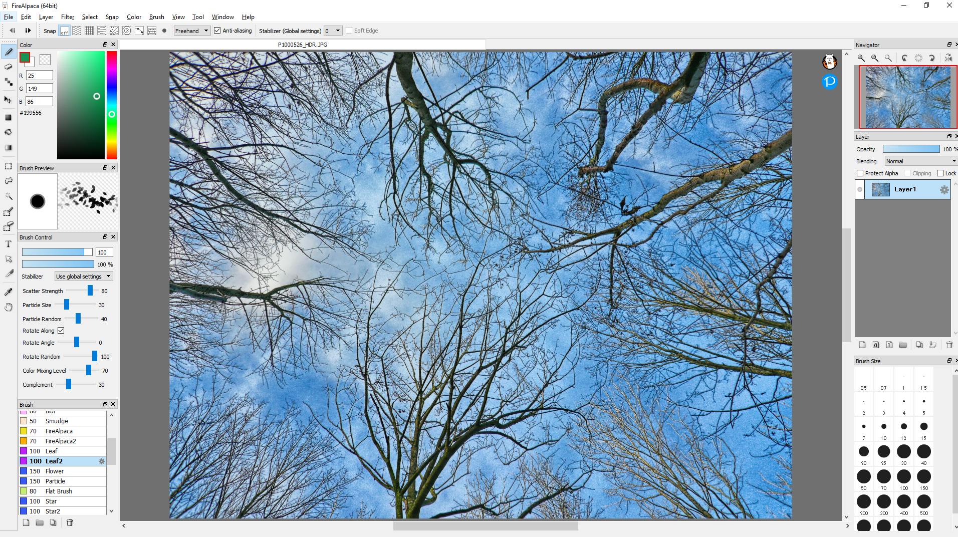 FireAlpaca - Fotobewerker