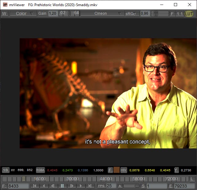 MrViewer - Veelzijdige mediaspeler