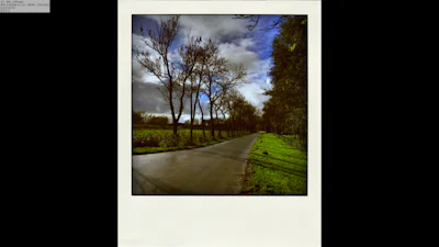 Poladroid - Beeld van toen