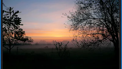 Honeyview - Fotoviewer