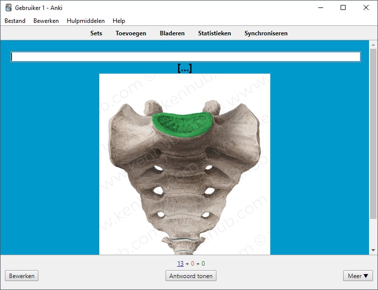 Anki - Leren met behulp van flashcards
