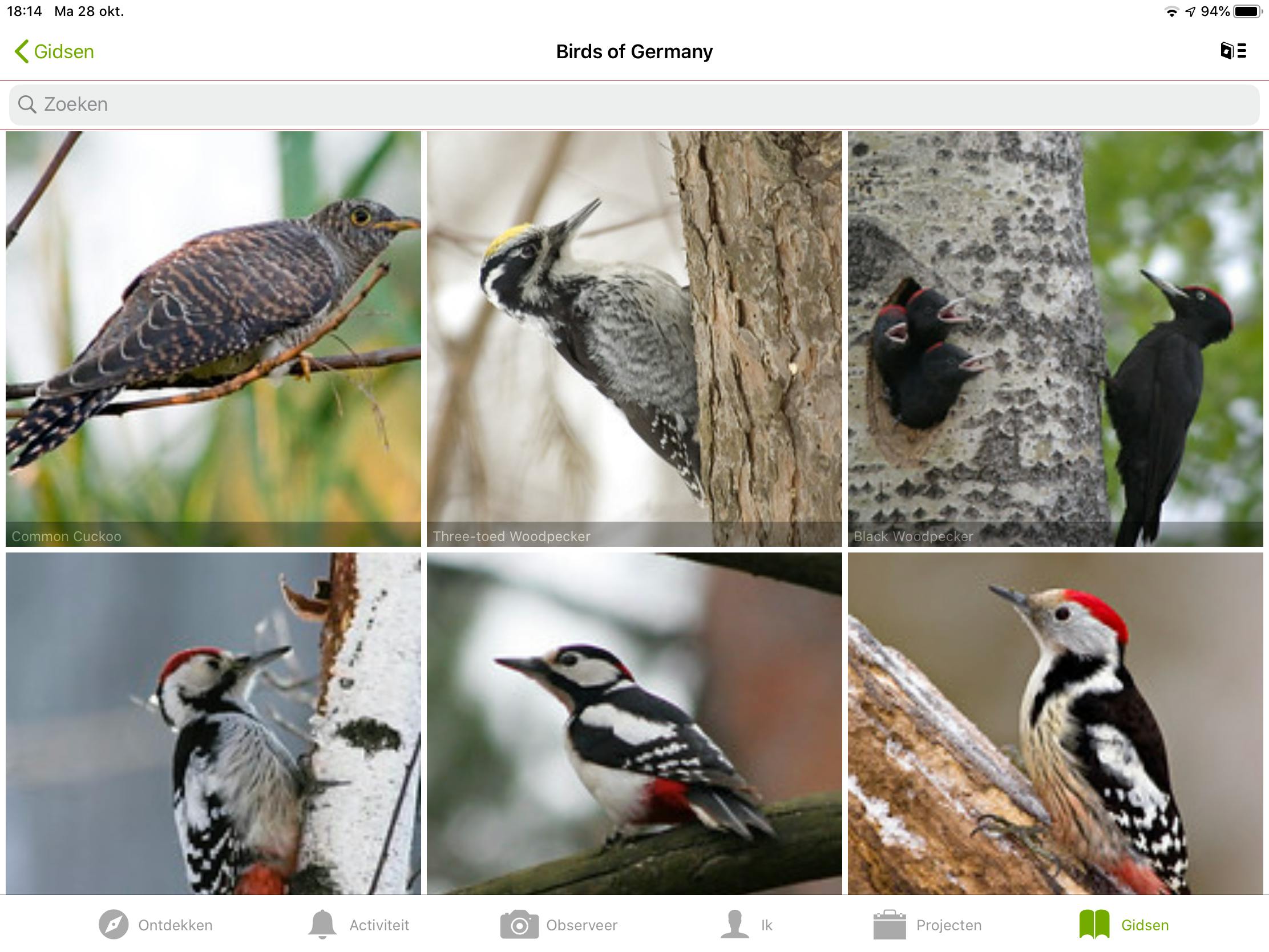 iNaturalist - Leer dier- en plantensoorten kennen