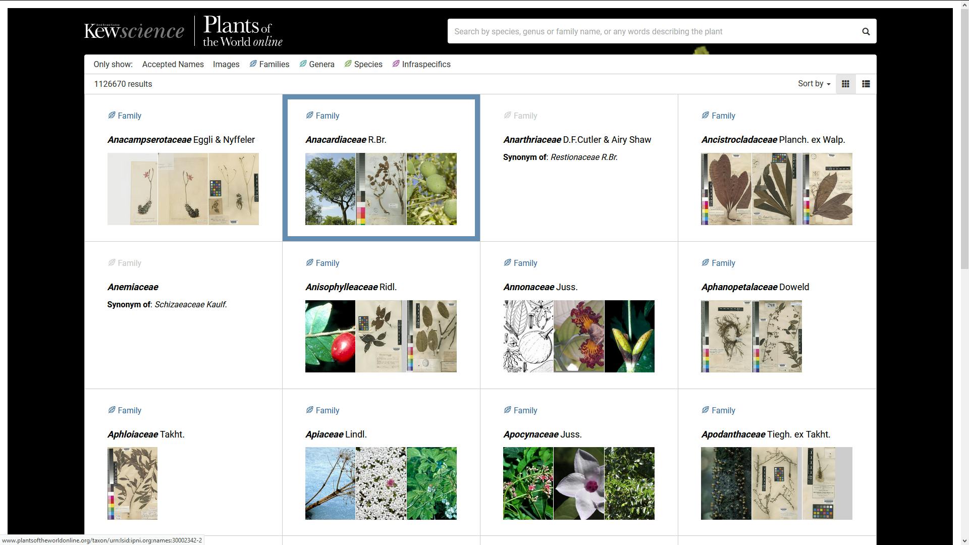 Plants of the Worlds - Een groeiende online plantendatabase