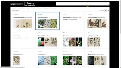 Plants of the Worlds - Een groeiende online plantendatabase