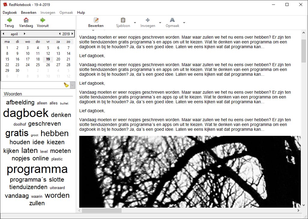 RedNotebook - Bijhouden van dag- en logboeken