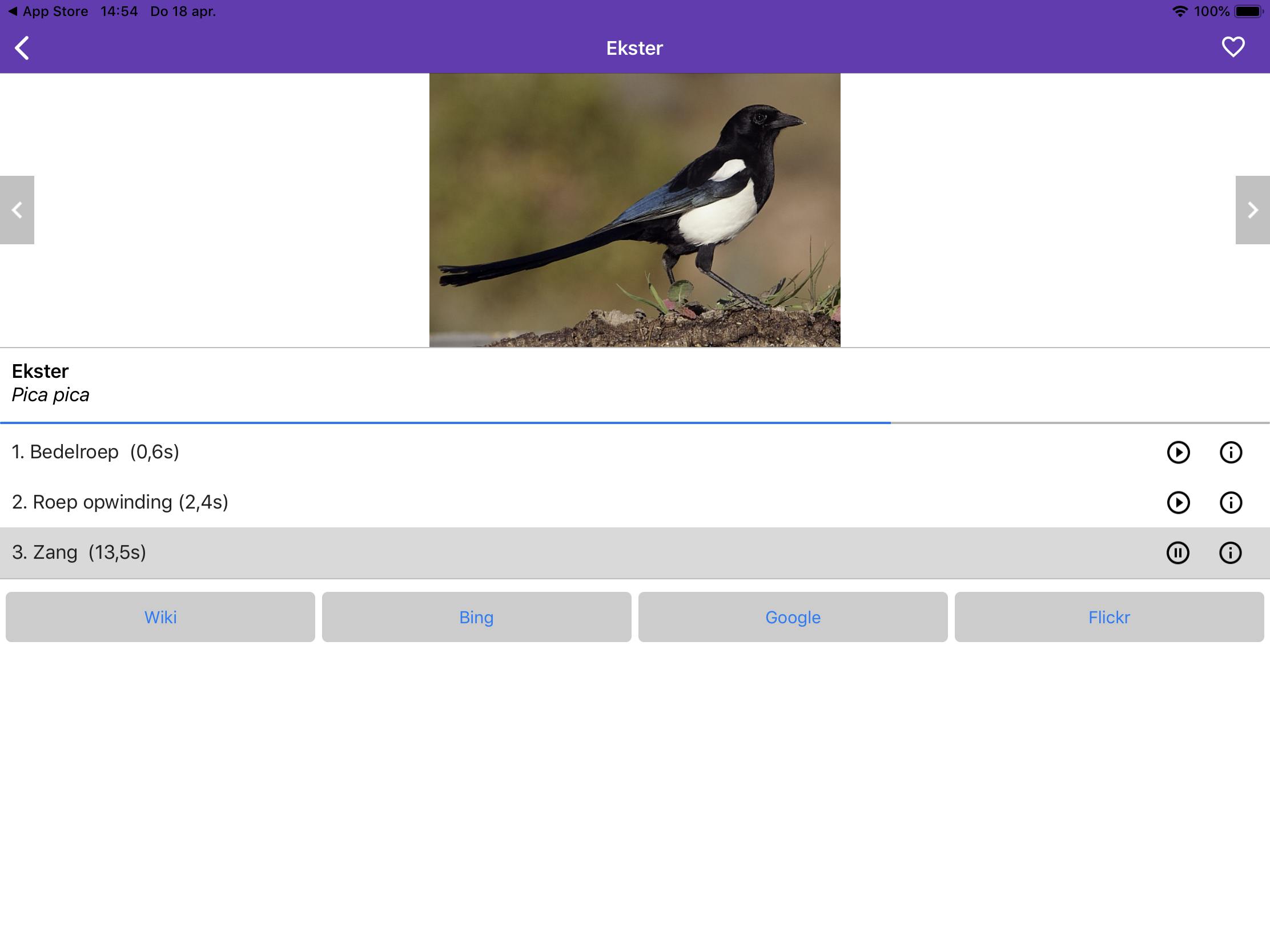 Vogelzang - Van  ‘tjilp, tjilp’ tot ‘kra, kra’ en alles ertussenin
