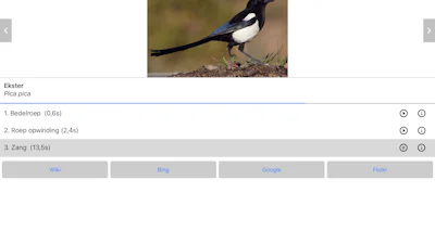 Vogelzang - Van ‘tjilp, tjilp’ tot ‘kra, kra’ en alles ertussenin