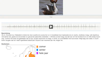 Vogels van Europa 2.0 - Kijk, wat vliegt daar? Hoor, wat tjilpt daar?