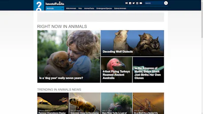 Howstuffworks - Een leerzame en onderhoudende site