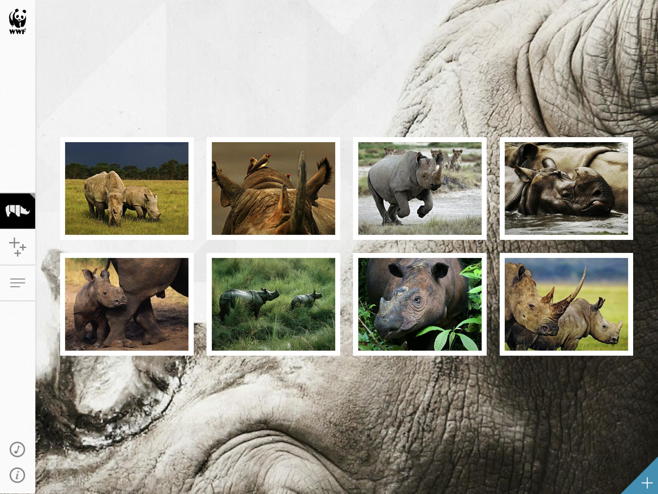 WWF Together - Leer meer over bedreigde diersoorten