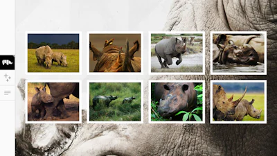 WWF Together - Leer meer over bedreigde diersoorten