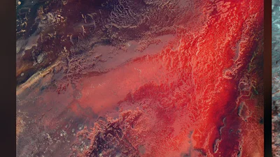 WLPPR - Mooie achtergrondjes voor je iPhone