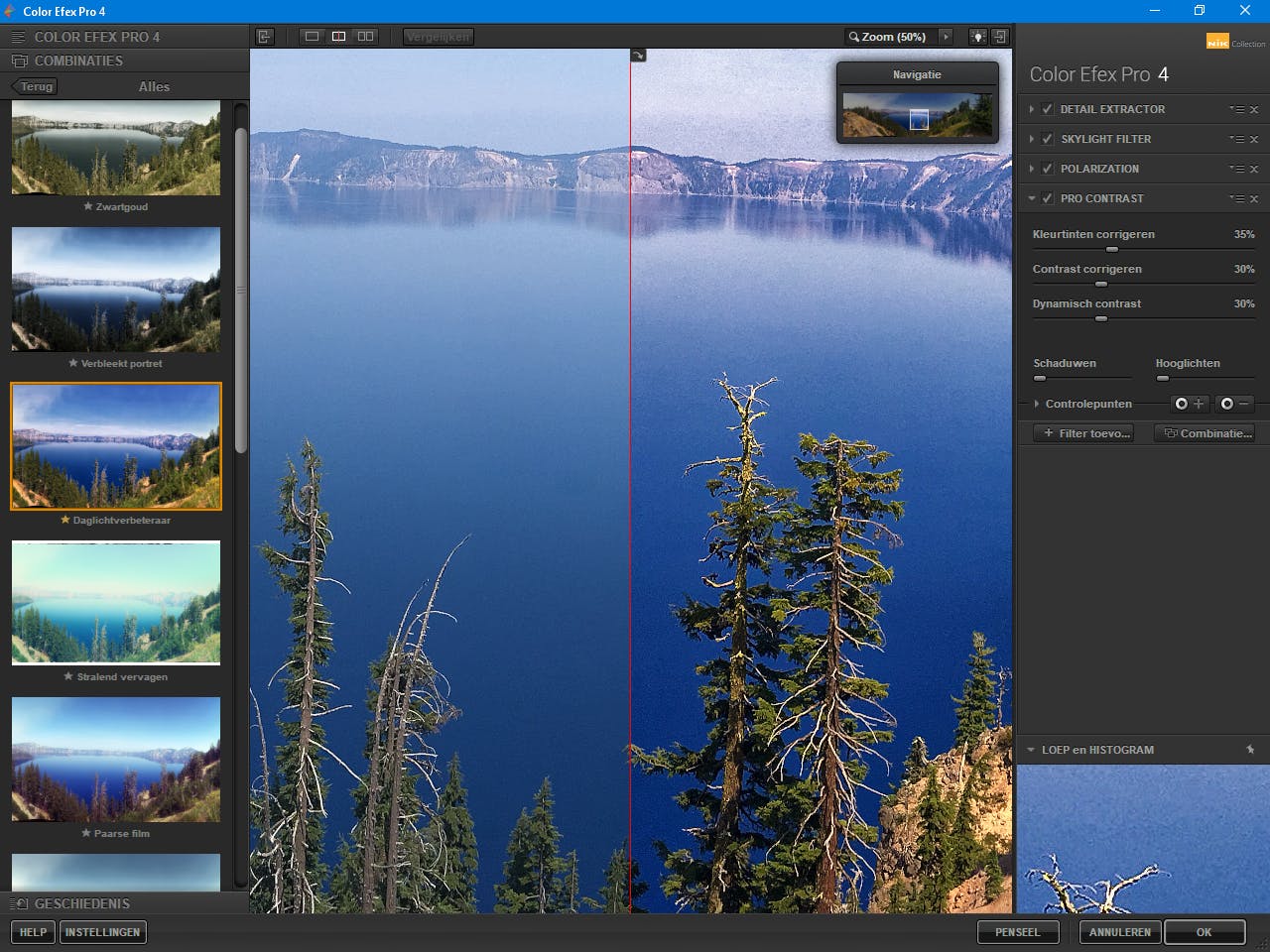 Google Nik -  Laat uw foto’s van het scherm spatten