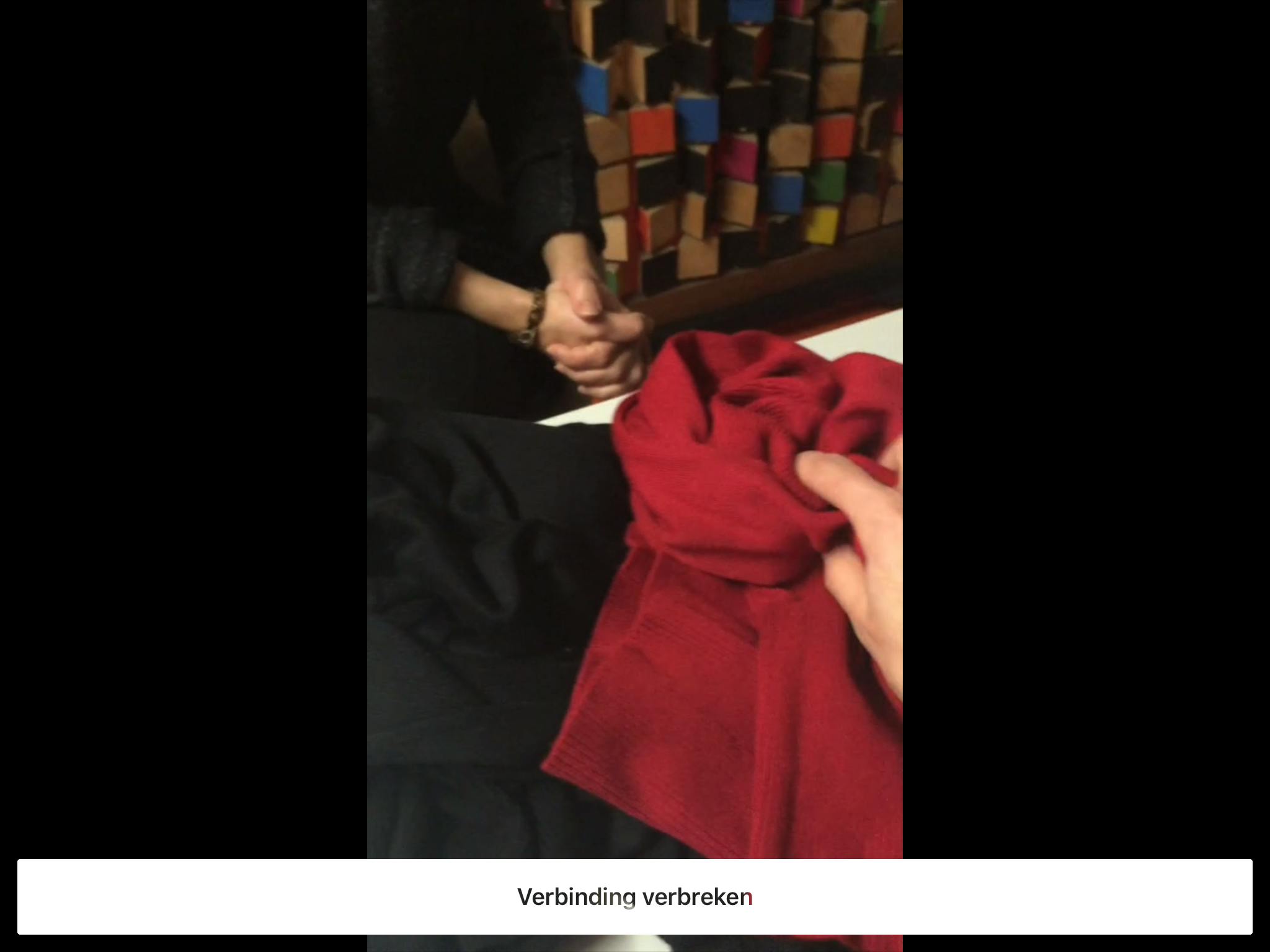 Be My Eyes - De ziende helpt de blinde