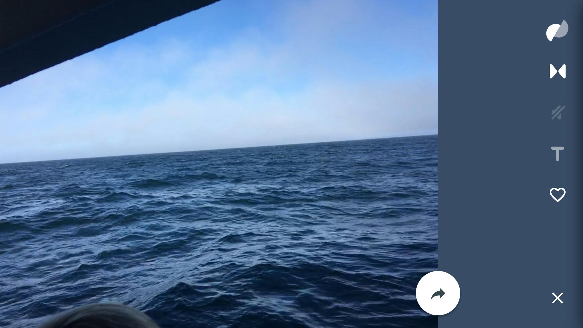 Motion Stills - Maak en converteer bewegende foto’s 