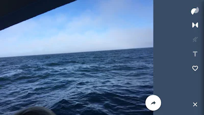 Motion Stills - Maak en converteer bewegende foto’s