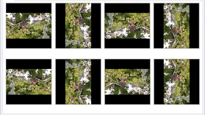 Video Clip QuickTool - Snel video’s roteren en/of verkleinen