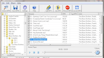BPM Detector