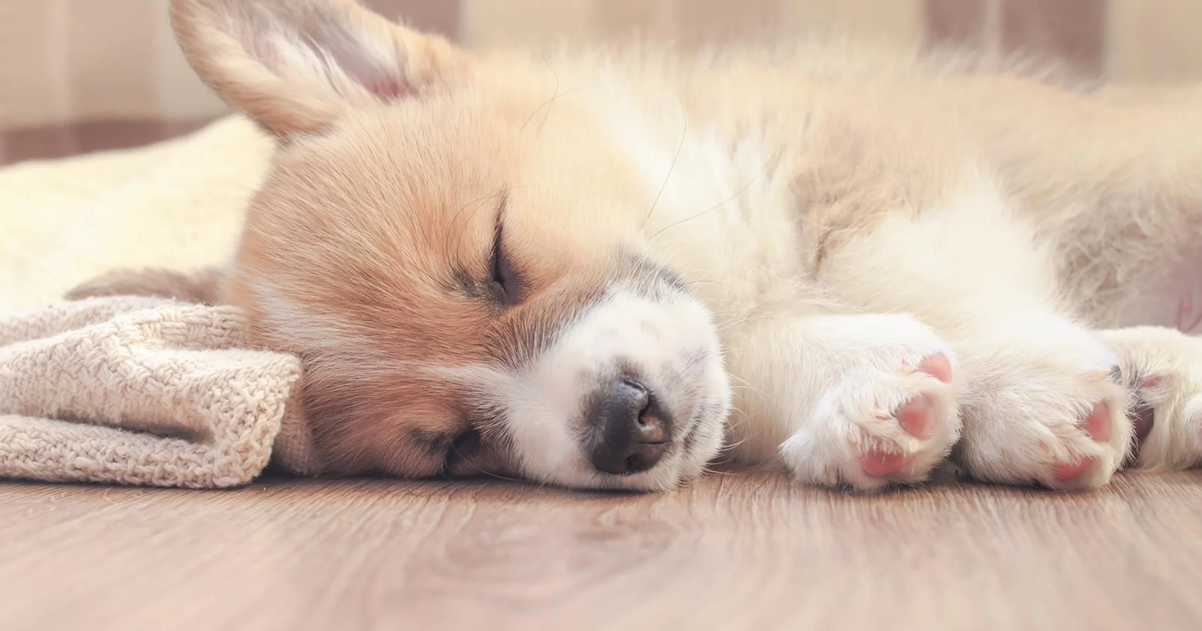 Wat is een slaapcoach en waarvoor gebruik je het?