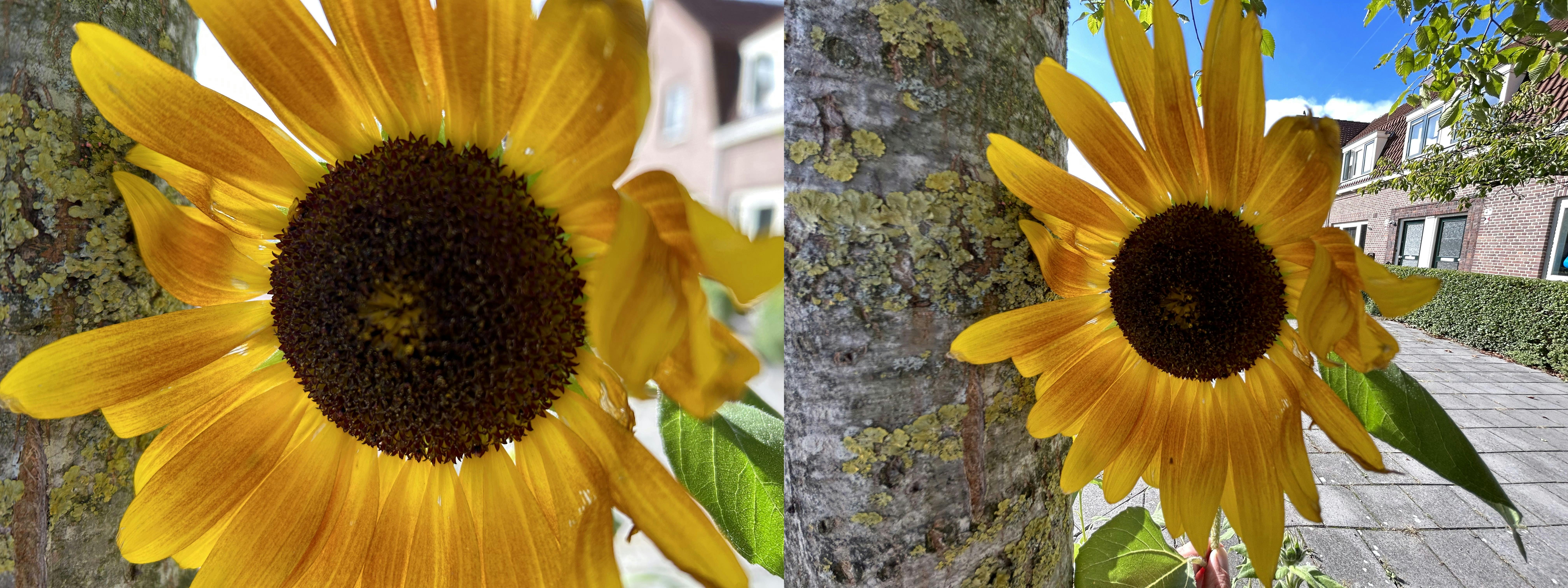 Veel licht? Dan beloont de iPhone 14 camera je met veel detail.