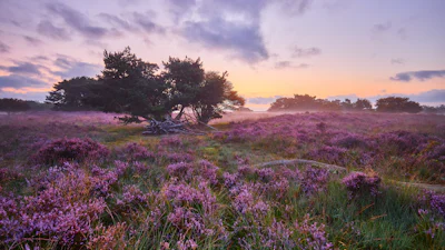 Hoeveel cloudopslagruimte heb je nog over?