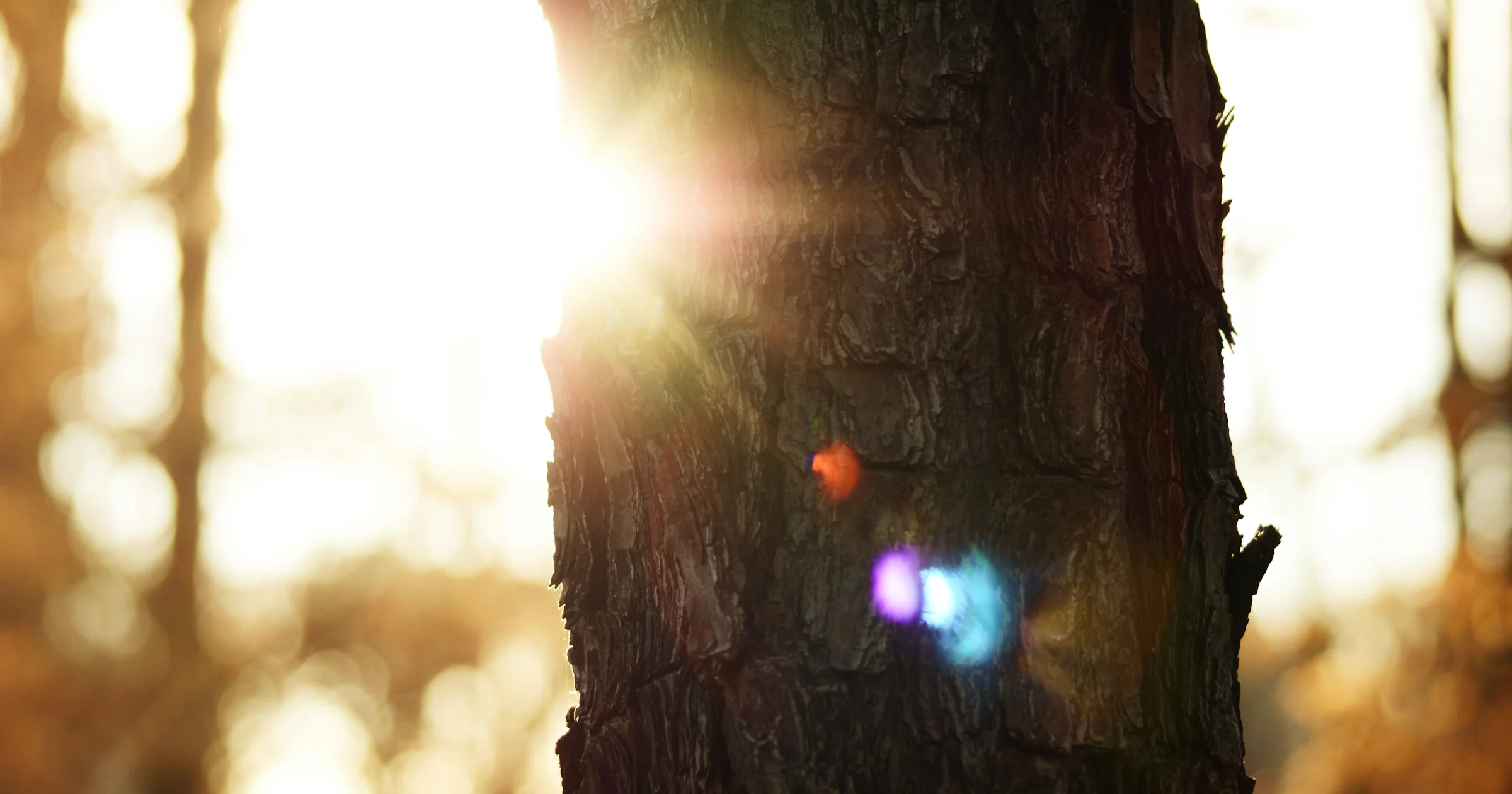 Winterdepressie? Een energy light of daglichtlamp helpt