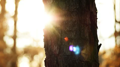 Winterdepressie? Een energy light of daglichtlamp helpt