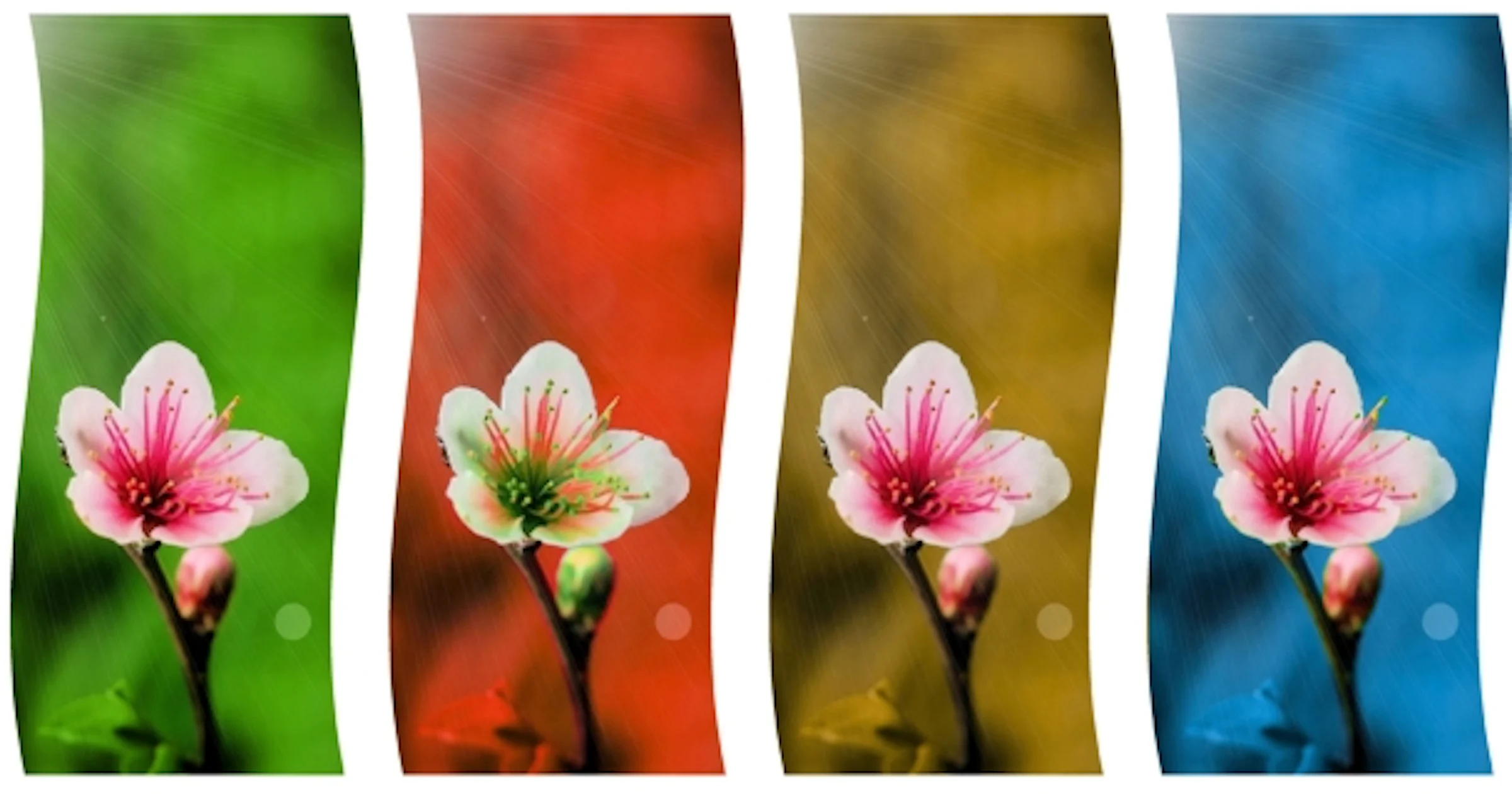 De 5 beste gratis apps voor snelle fotobewerkingen
