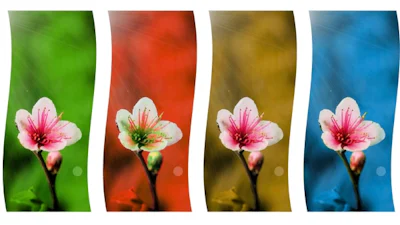 Foto's vergroten doe je snel met Upscale.media