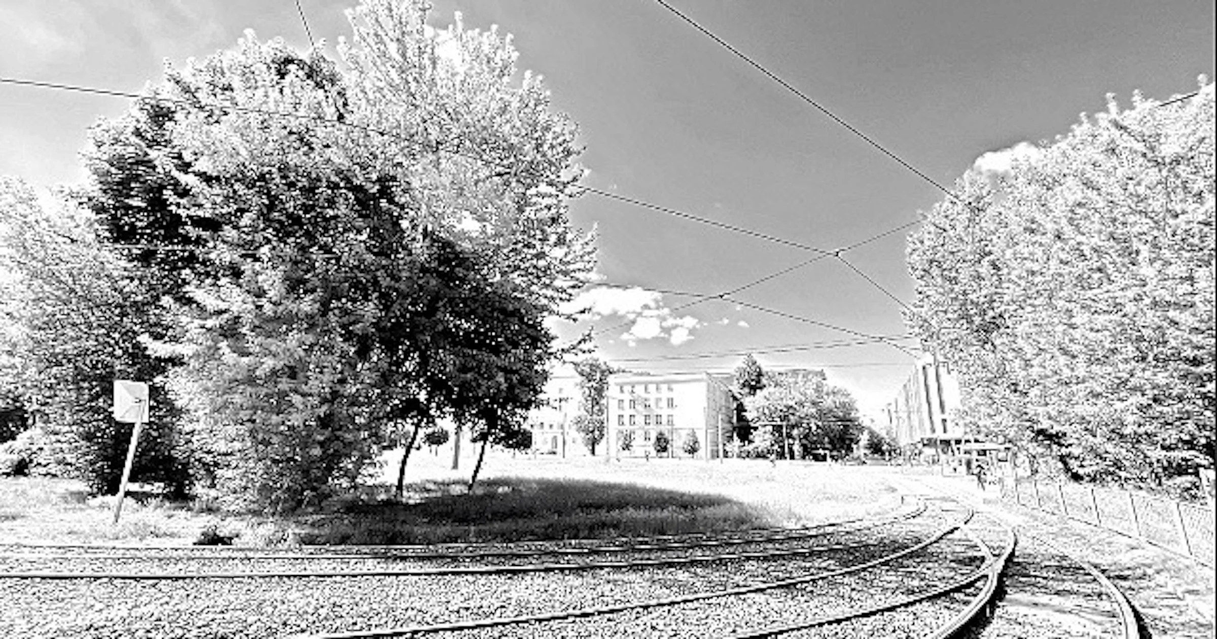 Foto naar zwart-wit overzetten op iPad met Carbon-app