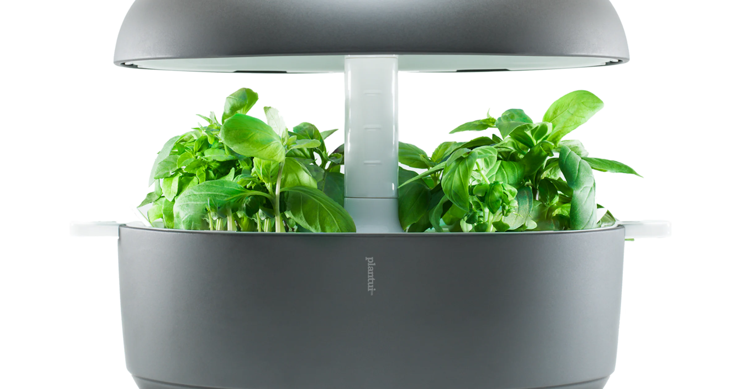 Wanneer plant water geven? Bouw een droogte-alarm!