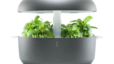 Wanneer plant water geven? Bouw een droogte-alarm!