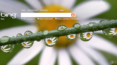 Weg met Bing: Zo bouw je Google in Windows 10