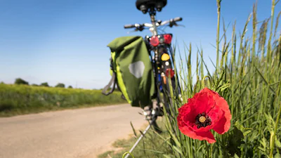 Navigatie-app Fietsknoop: zo vind je de mooiste fietsroutes