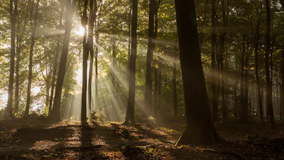 CARROT Weather: de onbeleefd veelzijdige weer-app