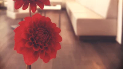 Snel een foto naar wens aanpassen met Fotoaanpassen.nl