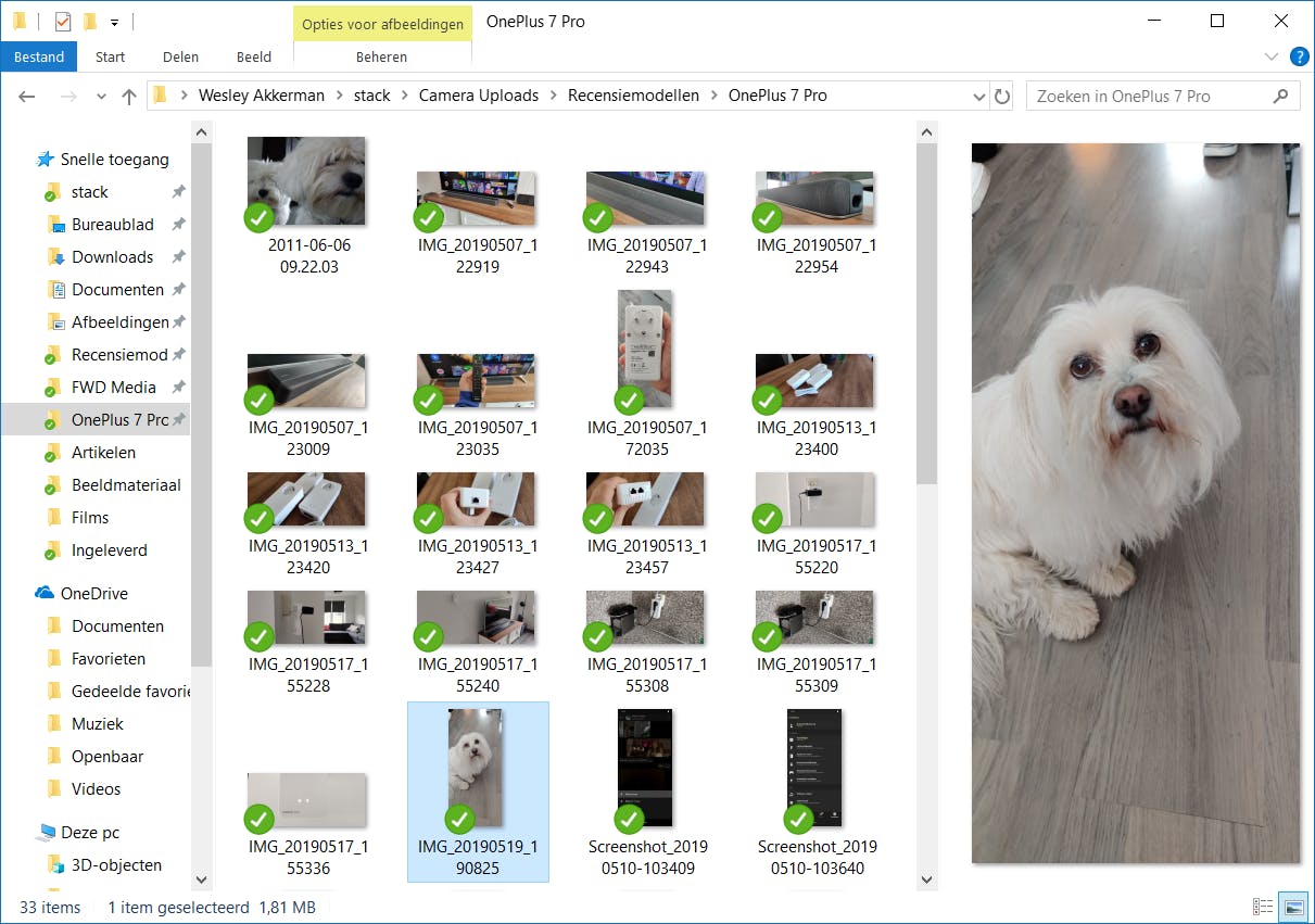 Alt+P geeft een voorbeeldpaneel in de Verkenner van Windows 10.