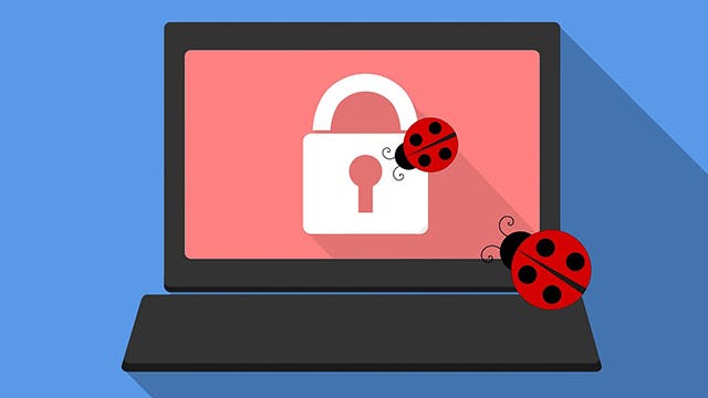 bug-bountyhunter worden