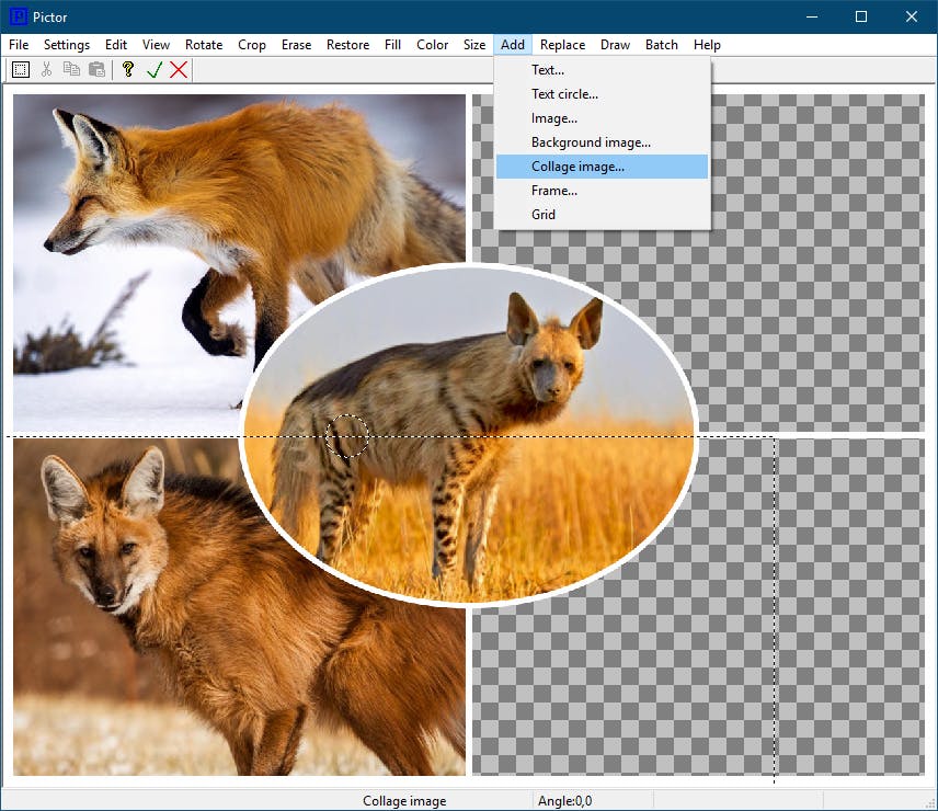 Pictor - Basis-fotobewerking