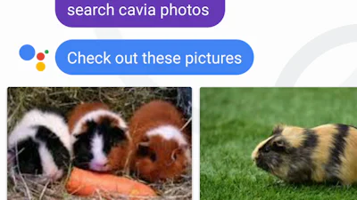 Chatten met Google Allo: 15 tips voor de WhatsApp-concurrent