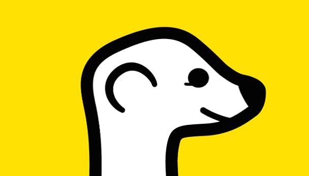 Meerkat: Zo stream je live video's op Twitter