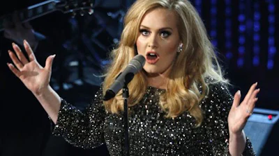 Creditcardgegevens Adele fans te grabbel